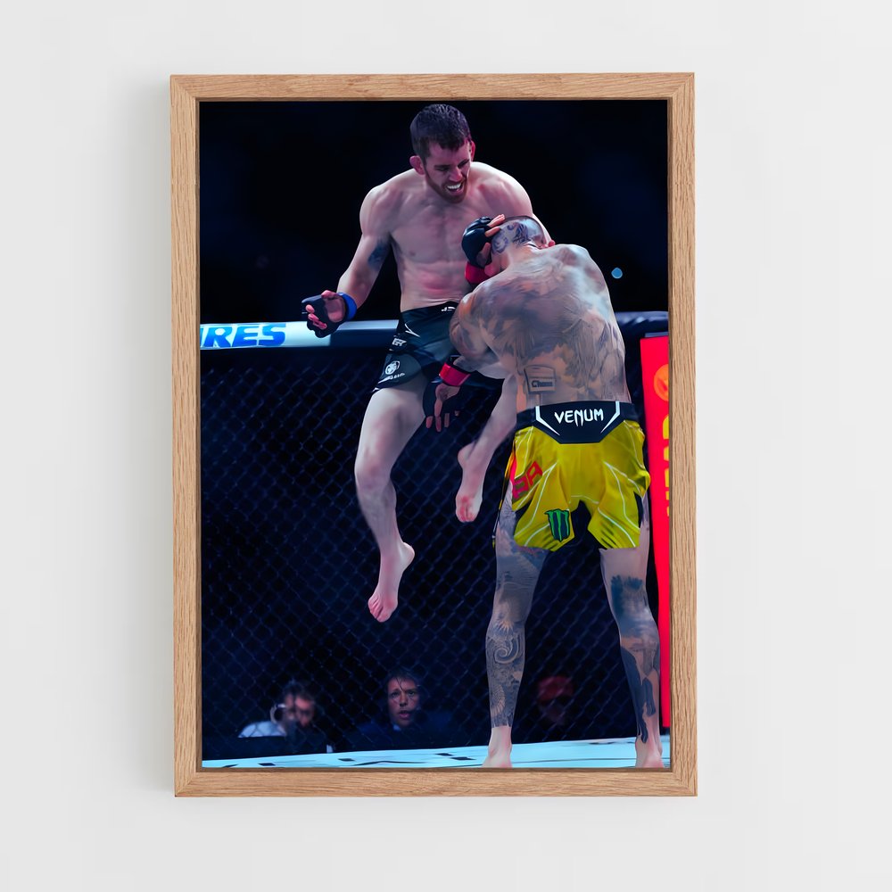Poster Combat d'Artistes – affiche MMA (vue 4)